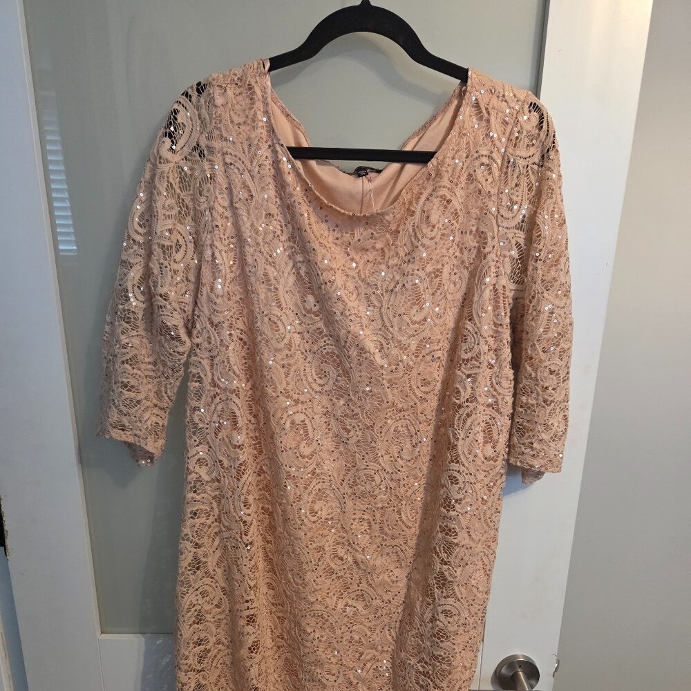 Tiana B. Peach Lace Sequin Dress (Plus Size 20W) + Elegant Party Dress